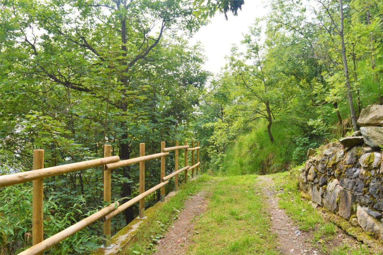 Gold Cave Casa Vacanze Relax Nel Bosco Appartamenti Pessinetto Ngoại thất bức ảnh